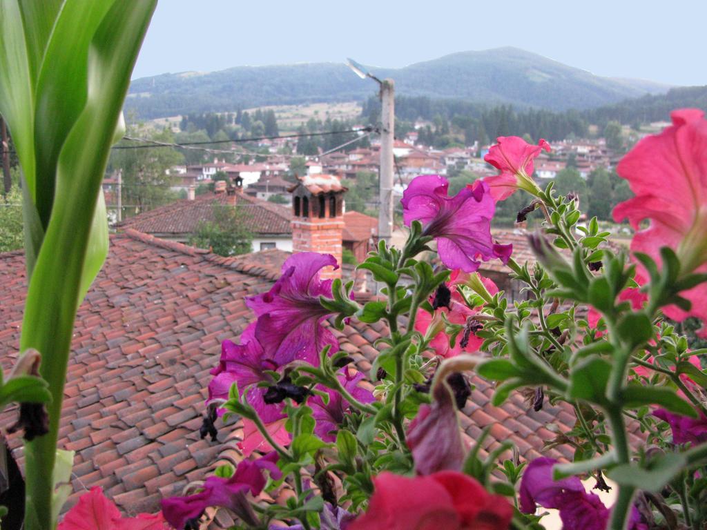 Guest House Lina Koprivshtitsa Buitenkant foto